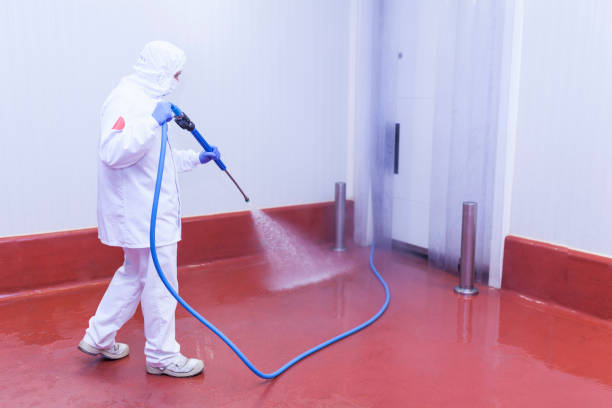 Best Graffiti Removal Services in Elizabethtown, KY
